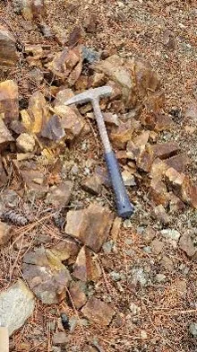 Phyllic altered diorite sampling, Ashton property